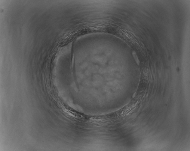 X0000070190817200605261155