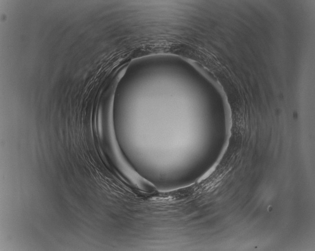 X0000070190818200605261155