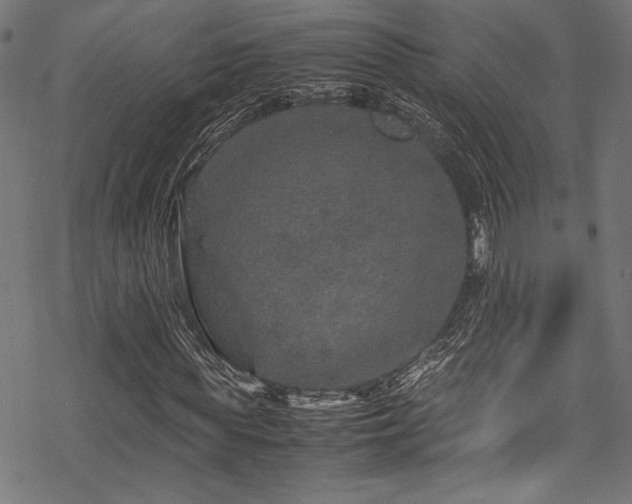 X0000070190819200605261155