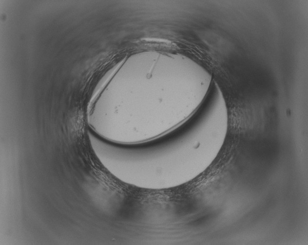 X0000070190820200605261155