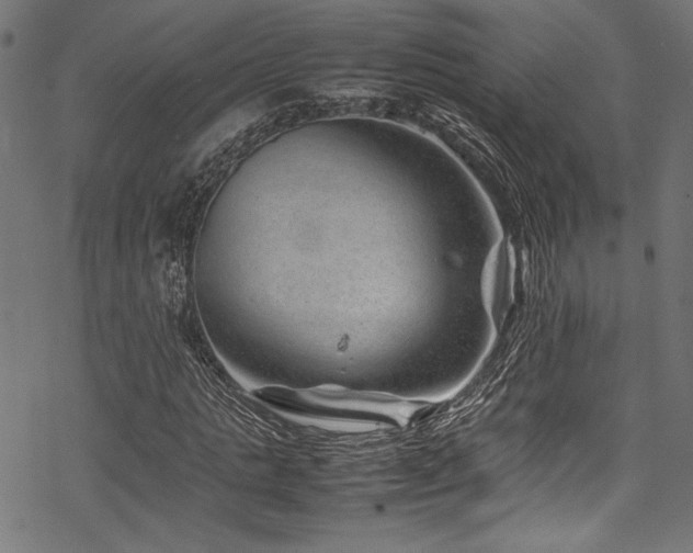 X0000070190821200605261155