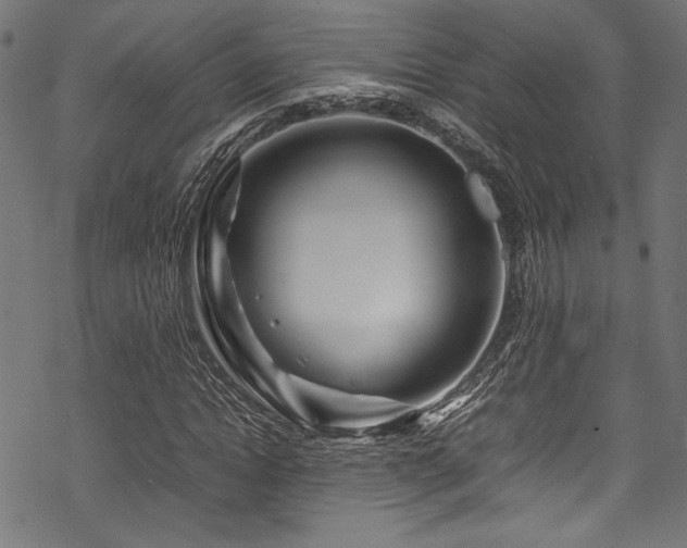 X0000070190822200605261155