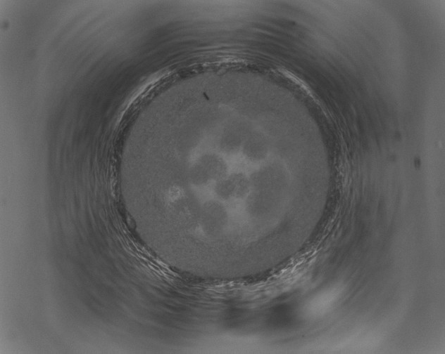 X0000070190823200605261155