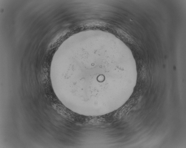 X0000070190824200605261155