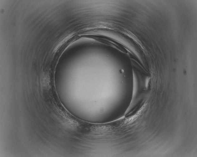 X0000070190826200605261155