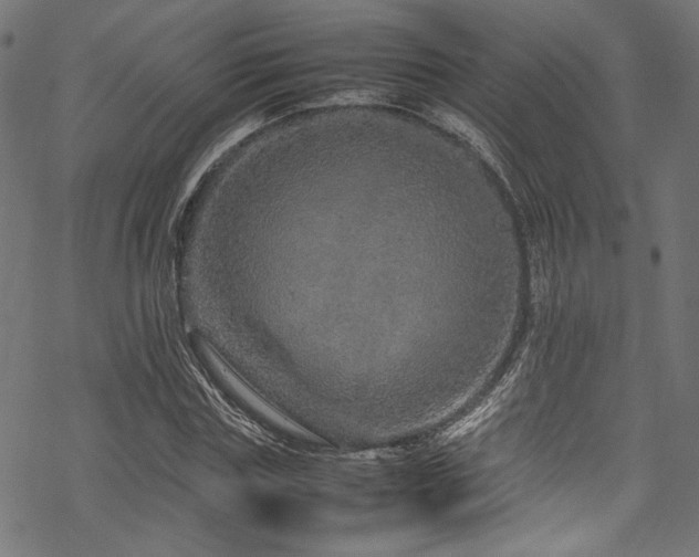 X0000070190827200605261155