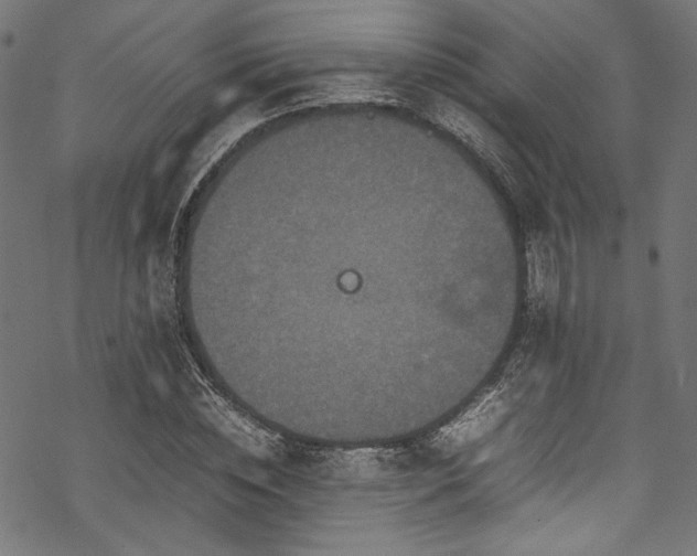 X0000070190828200605261155