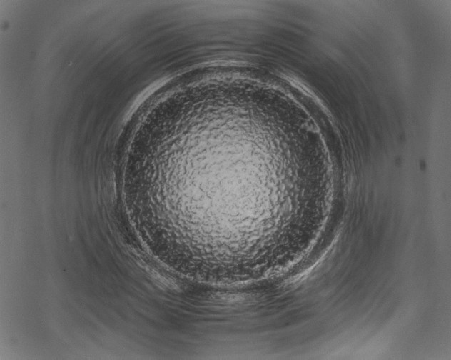 X0000070190829200605261155