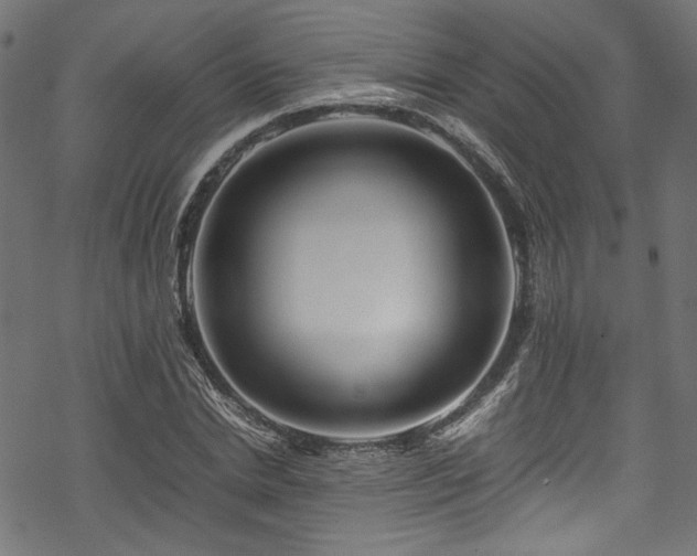 X0000070190830200605261155