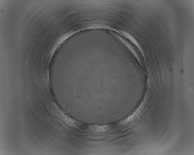 X0000070190831200605261155