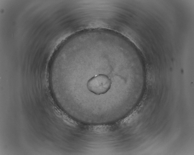 X0000070190832200605261155