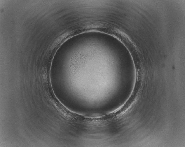 X0000070190833200605261155