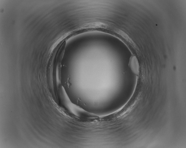 X0000070190834200605261155