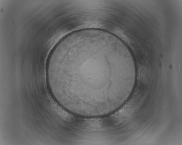 X0000070190836200605261155