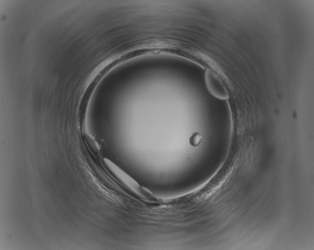 X0000070190837200605261155