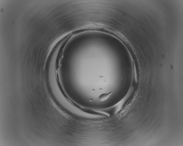 X0000070190838200605261155