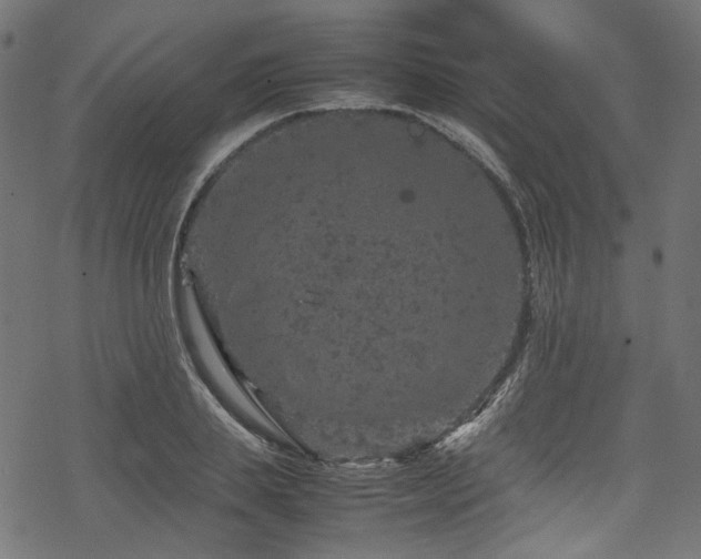 X0000070190839200605261155