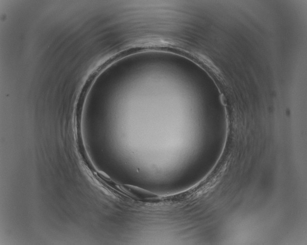 X0000070190840200605261155