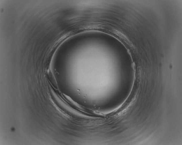 X0000070190841200605261155