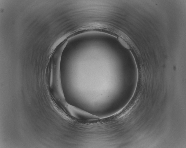 X0000070190842200605261155