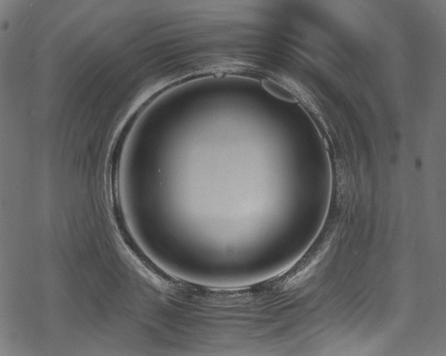 X0000070190843200605261155