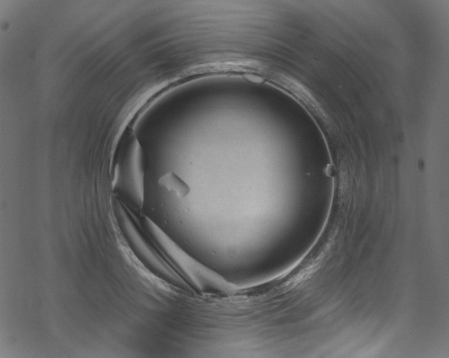 X0000070190844200605261155