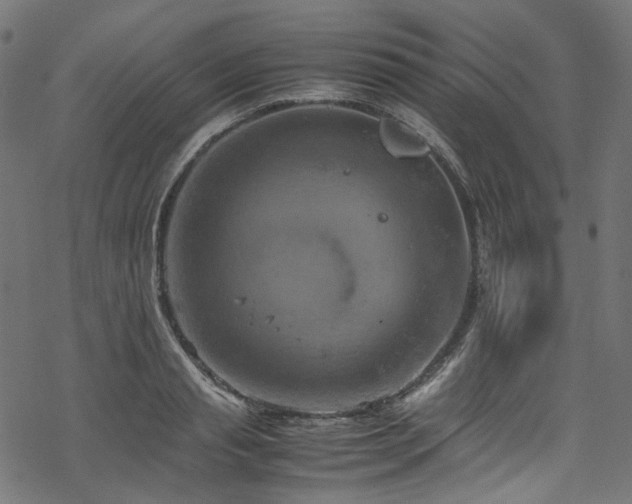 X0000070190845200605261155