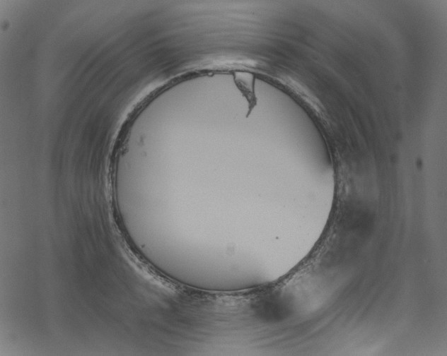 X0000070190848200605261156