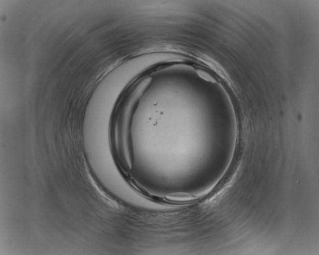 X0000070190849200605261156