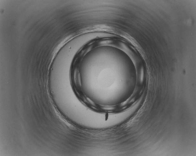 X0000070190850200605261156