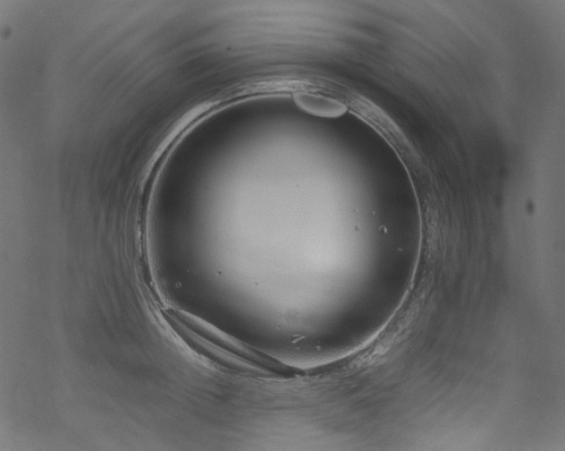 X0000070190852200605261156