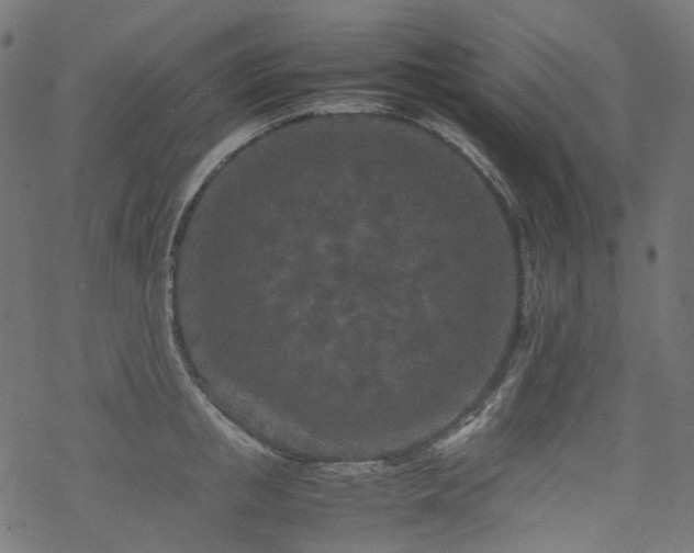 X0000070190853200605261156