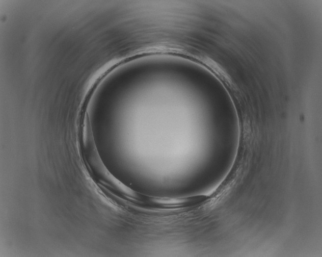 X0000070190854200605261156