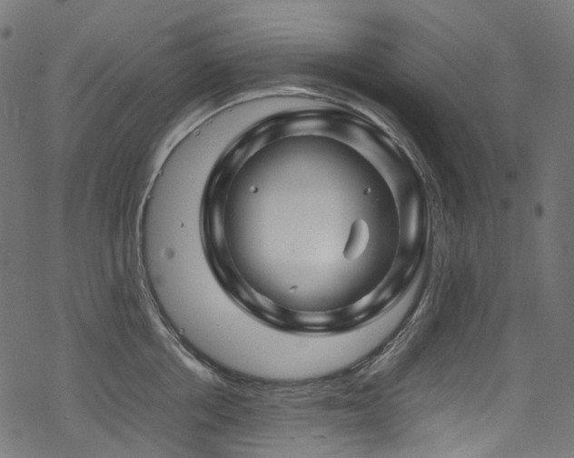 X0000070190858200605261156