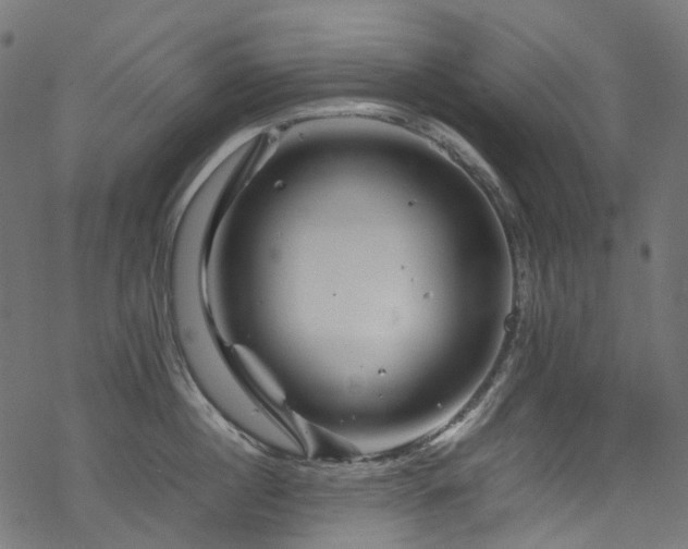 X0000070190860200605261156