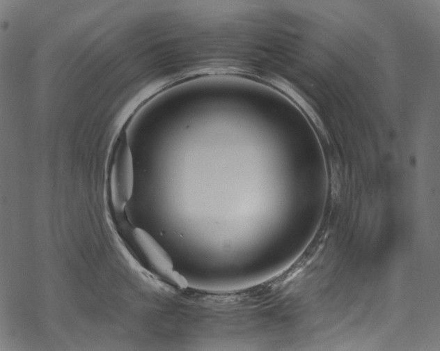 X0000070190861200605261156