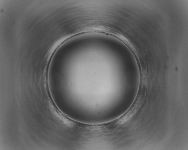 X0000070190862200605261156