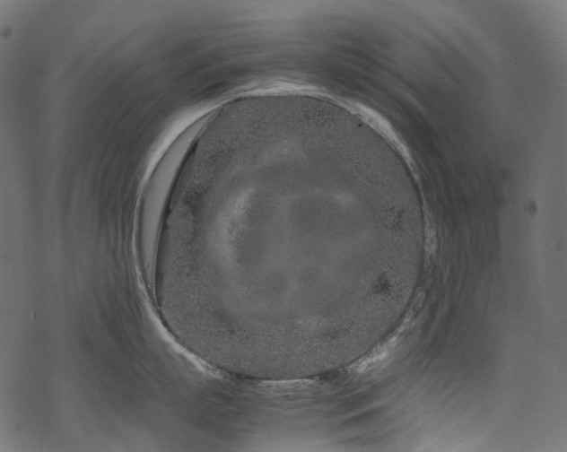 X0000070190863200605261156