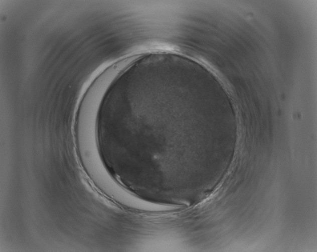 X0000070190864200605261156