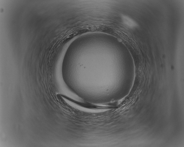 X0000070190865200605261155