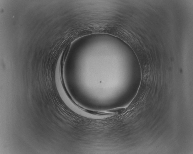 X0000070190866200605261155