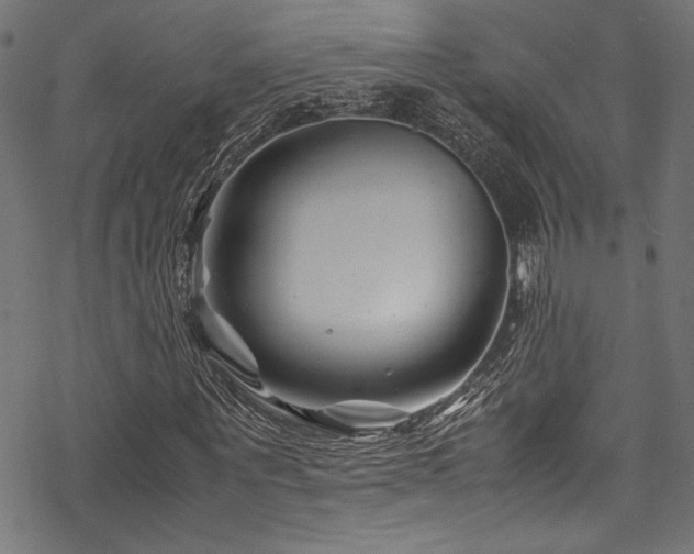 X0000070190867200605261155