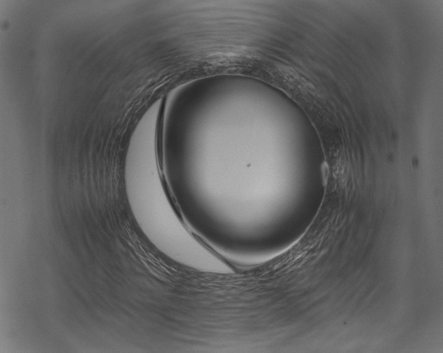 X0000070190868200605261155