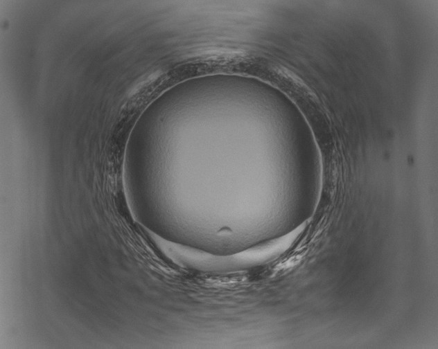 X0000070190869200605261155