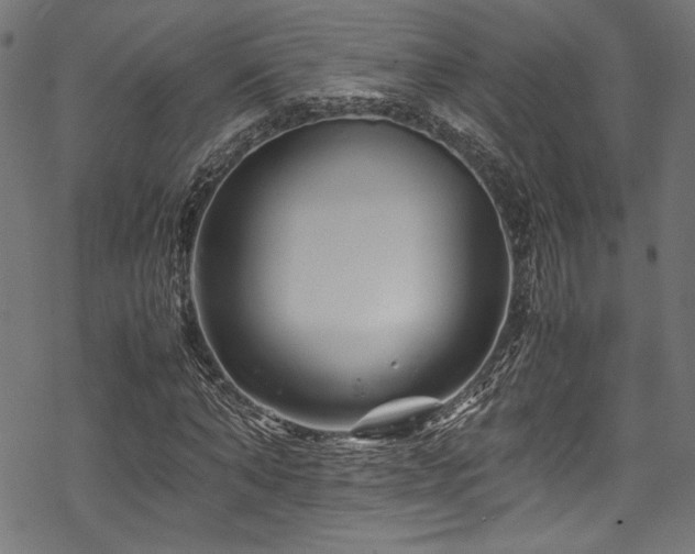 X0000070190870200605261155