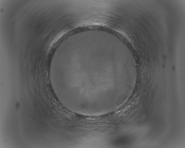 X0000070190871200605261155