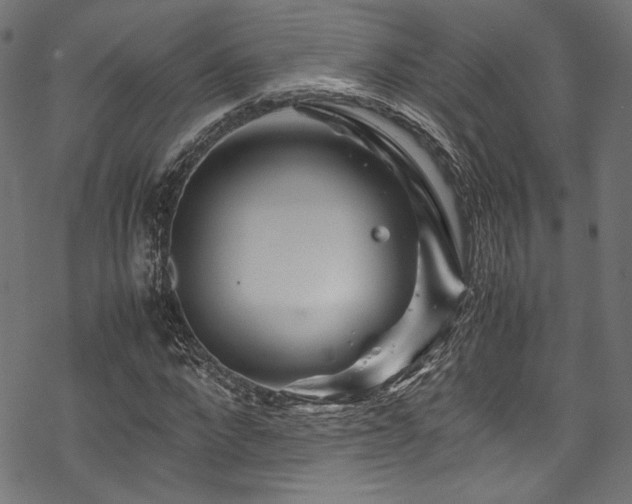 X0000070190872200605261155