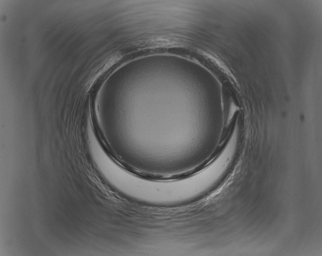 X0000070190873200605261155