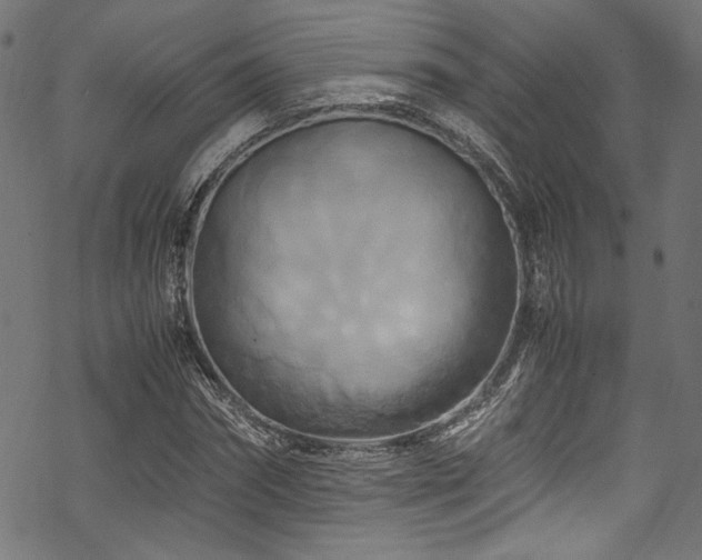 X0000070190874200605261155