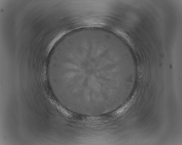 X0000070190875200605261155